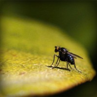 /album/music-it/photolia-a07-jpg/